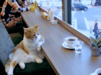 tumblr_nhylf5LzMk1rl1jado1_500.gif