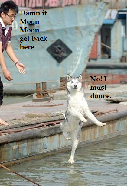 doJa4hm.png