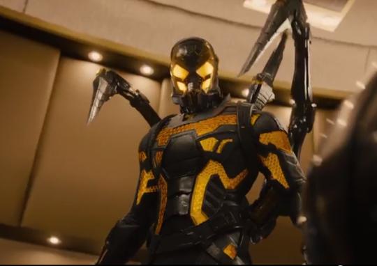 yellowjacket.jpg