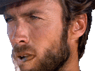 101699-thumb.gif