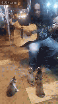 gifs_06.gif