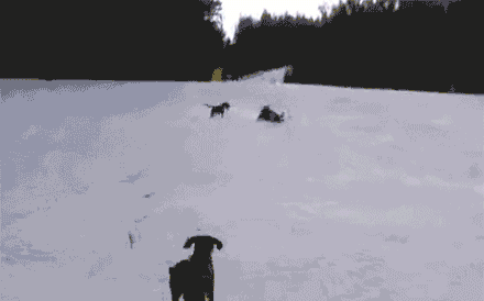 wyeXW8u.gif