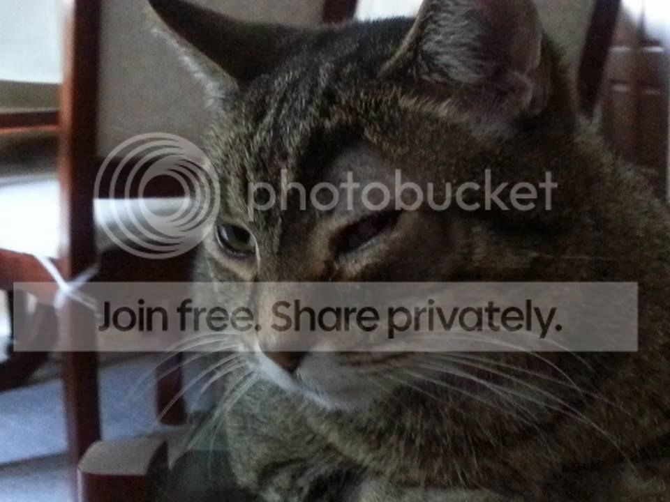mick1_zpsd8mdpqjc.jpg