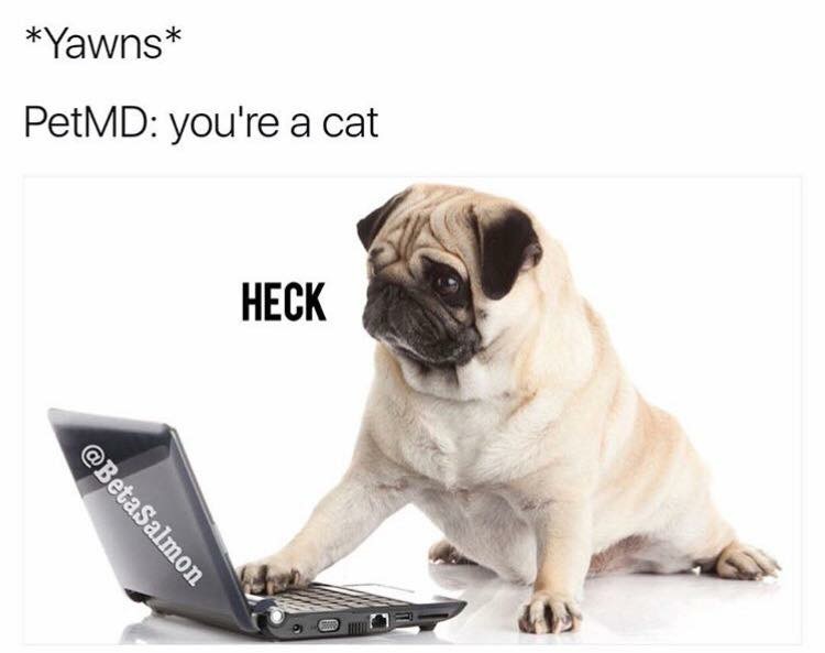 K6fTMOd.jpg