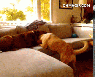 yxTKNDE.gif