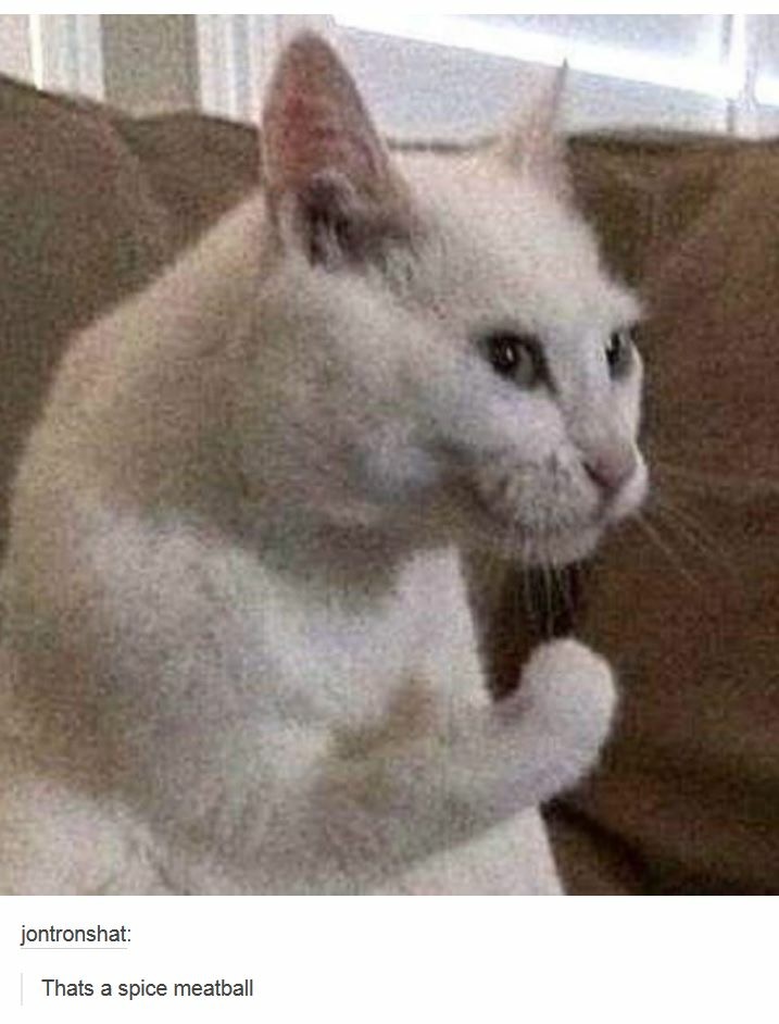 r7Z5Te8.jpg