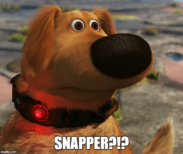 23n0p7.jpg