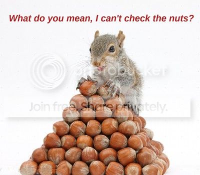 nuts_zps4c67c648.jpg