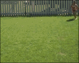 vfNWcJc.gif