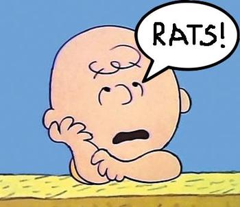 rats.jpeg