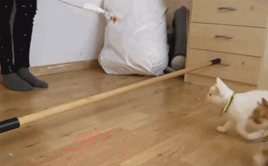 f628c0c3fcddbfabb6404ee0023c1a8c.gif