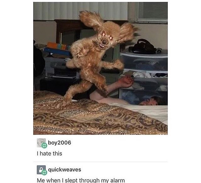 7lzAxvG.jpg