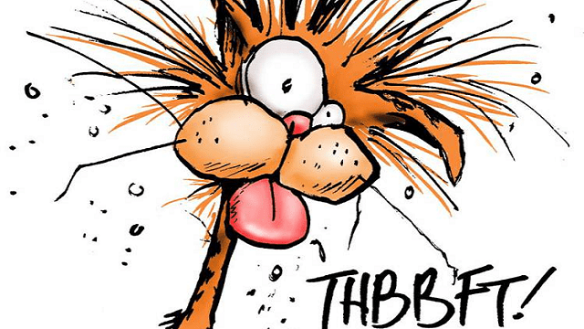 bill-the-cat-0999bda3-20e7-4e09-9ba9-a920d6145d2-resize-750.png