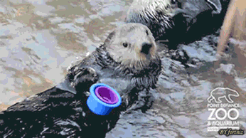 5QOu0PB.gif