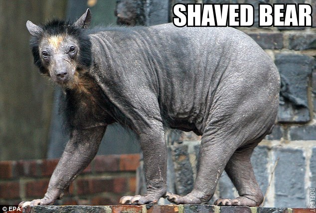 7eNLfmO.jpg