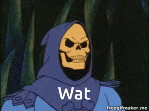 skeletor-wat.gif