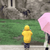 6f2deb3dd748c5157f017a9171ab4a7b.gif