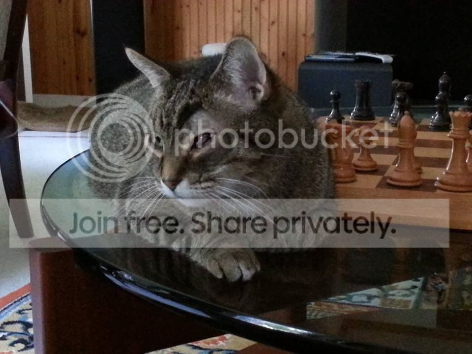 mick3_zpsifjxdxno.jpg