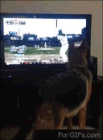 6z2z68P.gif