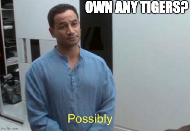 7993pj.jpg