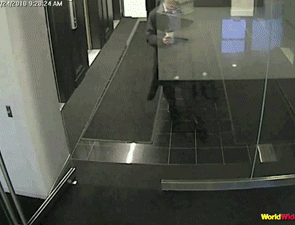 pkcMczZ.gif