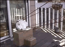 cRypajK.gif