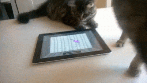 gifs_08.gif