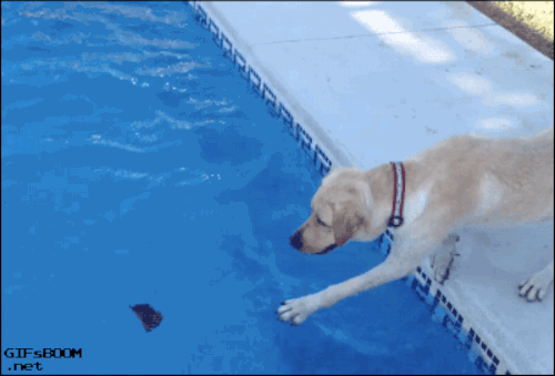 hsGAh9c.gif