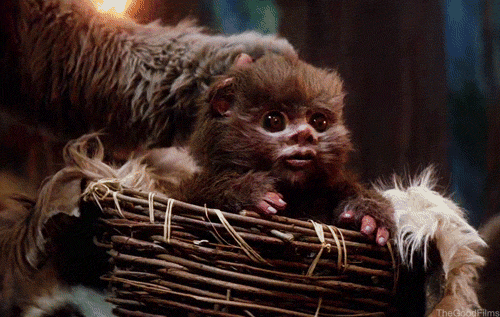 petting-baby-ewok.gif