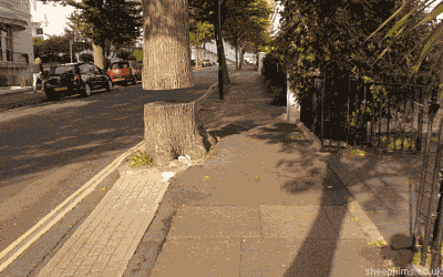 s7xR7fk.gif