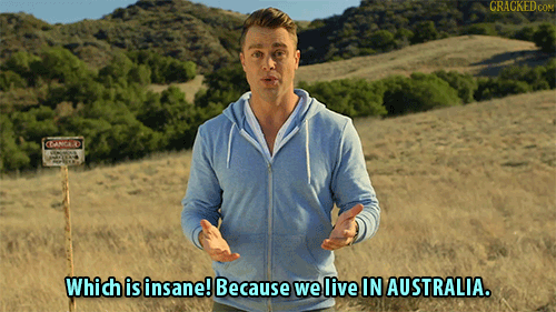 tumblr_nz02jrqelG1qz5q5lo5_500.gif
