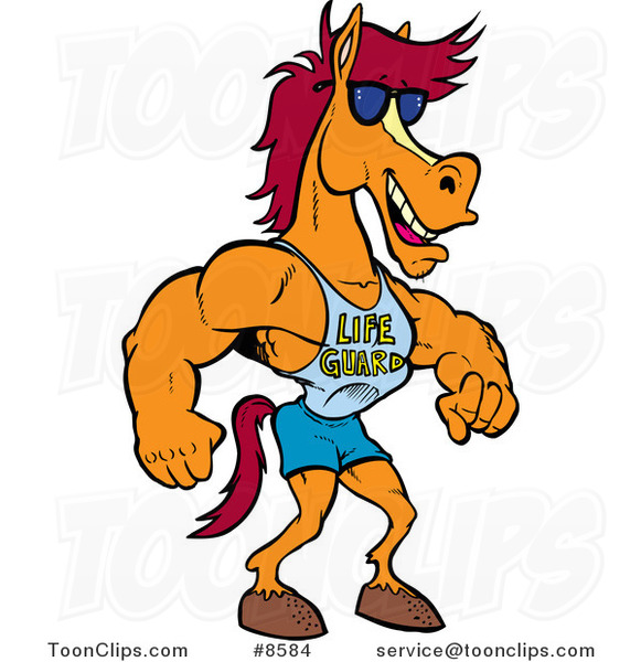 cartoon-studly-lifeguard-horse-by-toonaday-8584.jpg