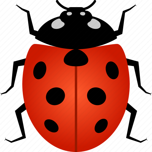 ladybug-color-512.png