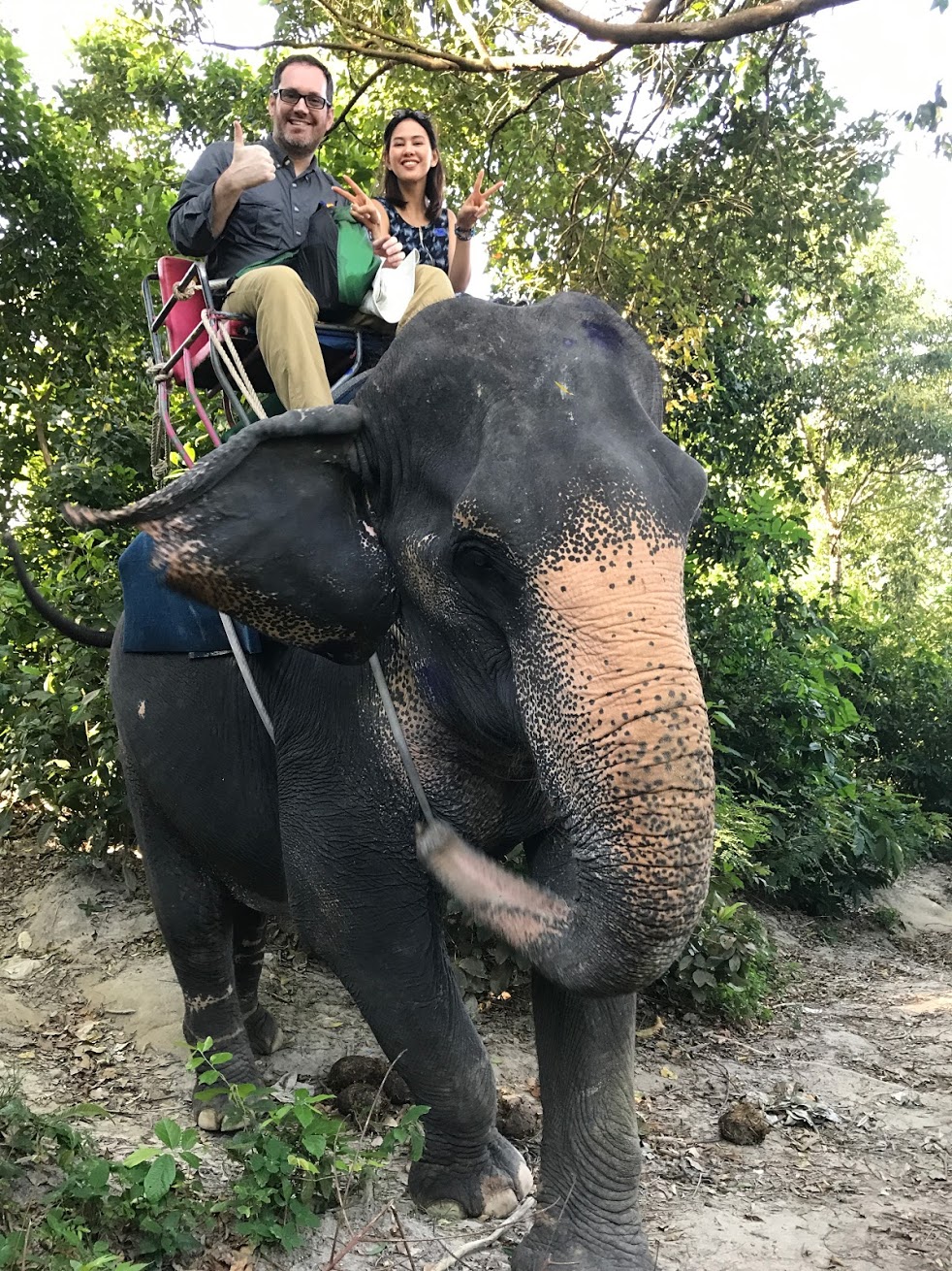 elephant1.JPG