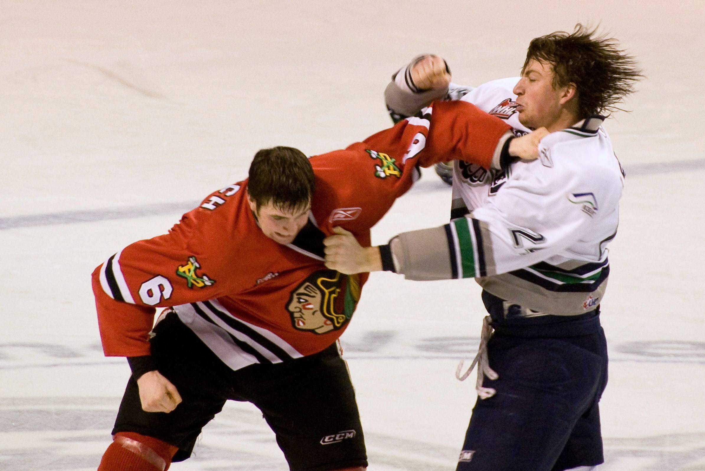 Fight_in_ice_hockey_2009.JPG