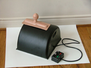 Tn_sybian_gmax1.jpg